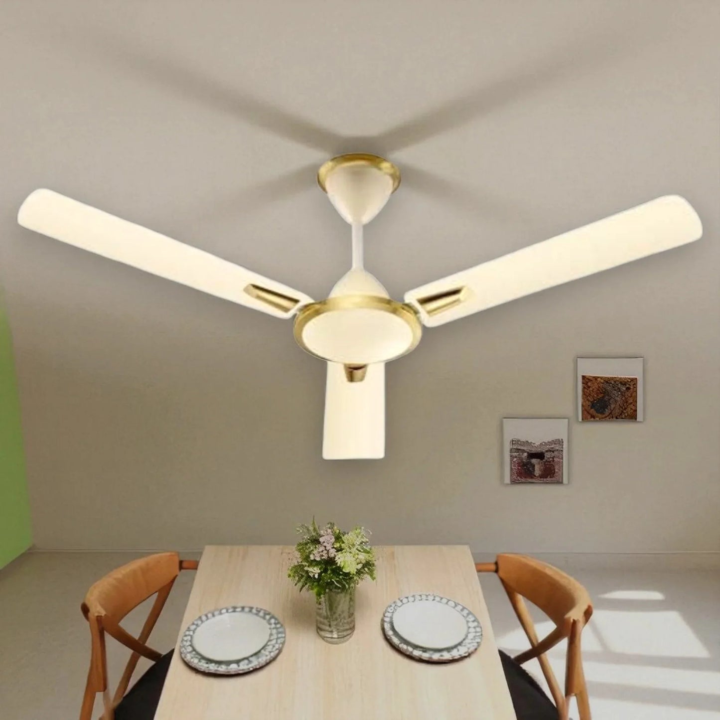 ceiling fan 3 blade