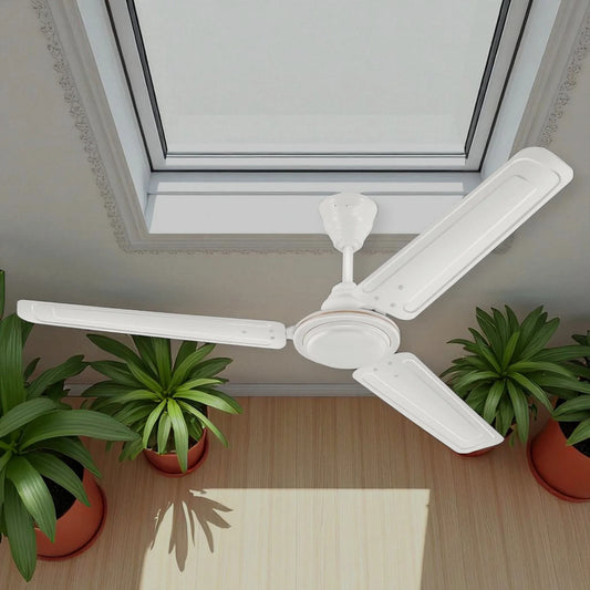ceiling fan 3 blade