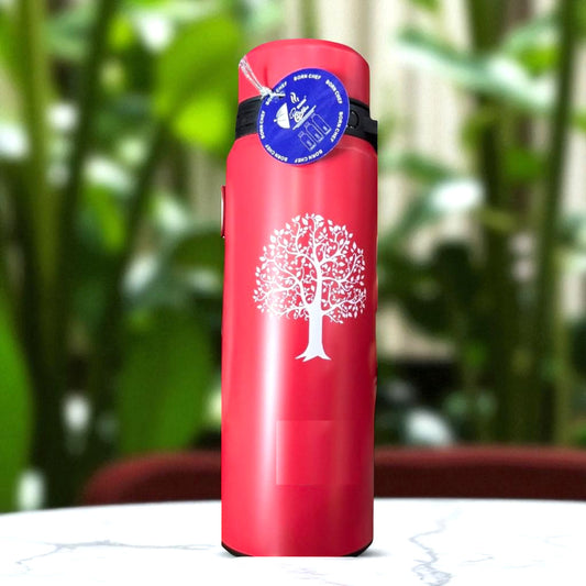 stainless steel water bottle